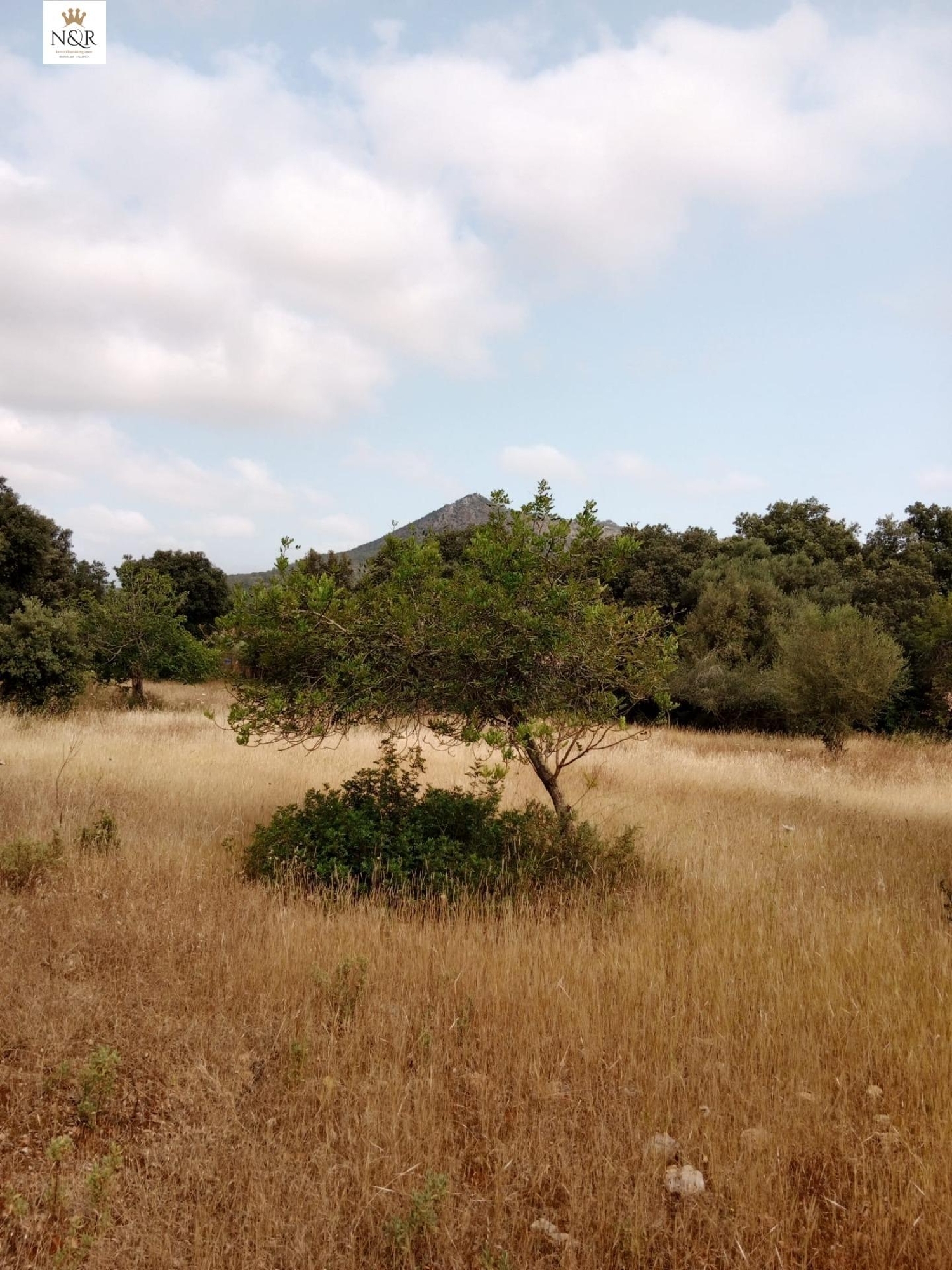  for sale plot Inca Raiguer 4