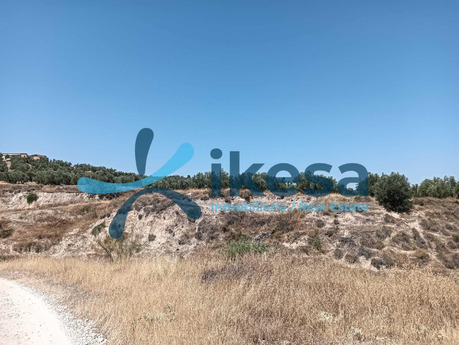  for sale plot Jodar Sierra Mágina 4