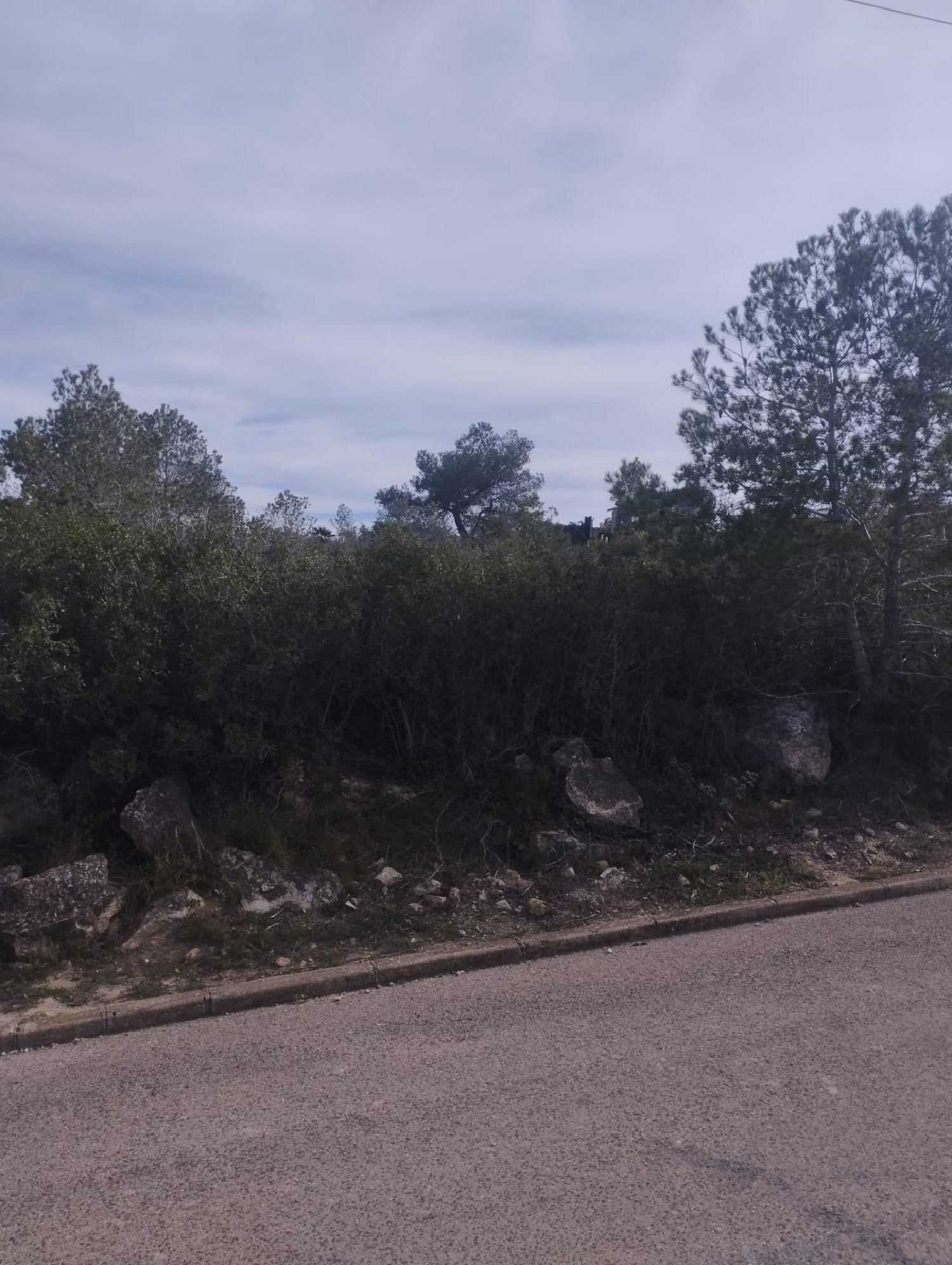  till salu tomt La Bisbal Del Penedès Baix Penedès 5