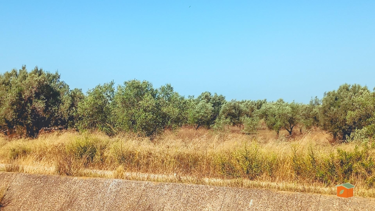  for sale plot La Galera Montsià 2