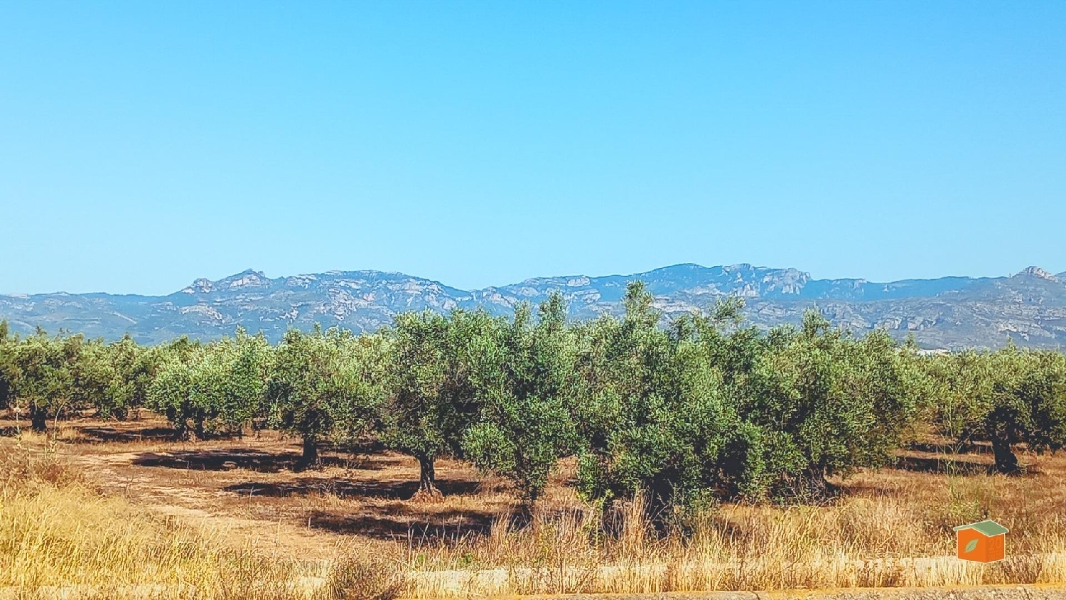  for sale plot La Galera Montsià 3