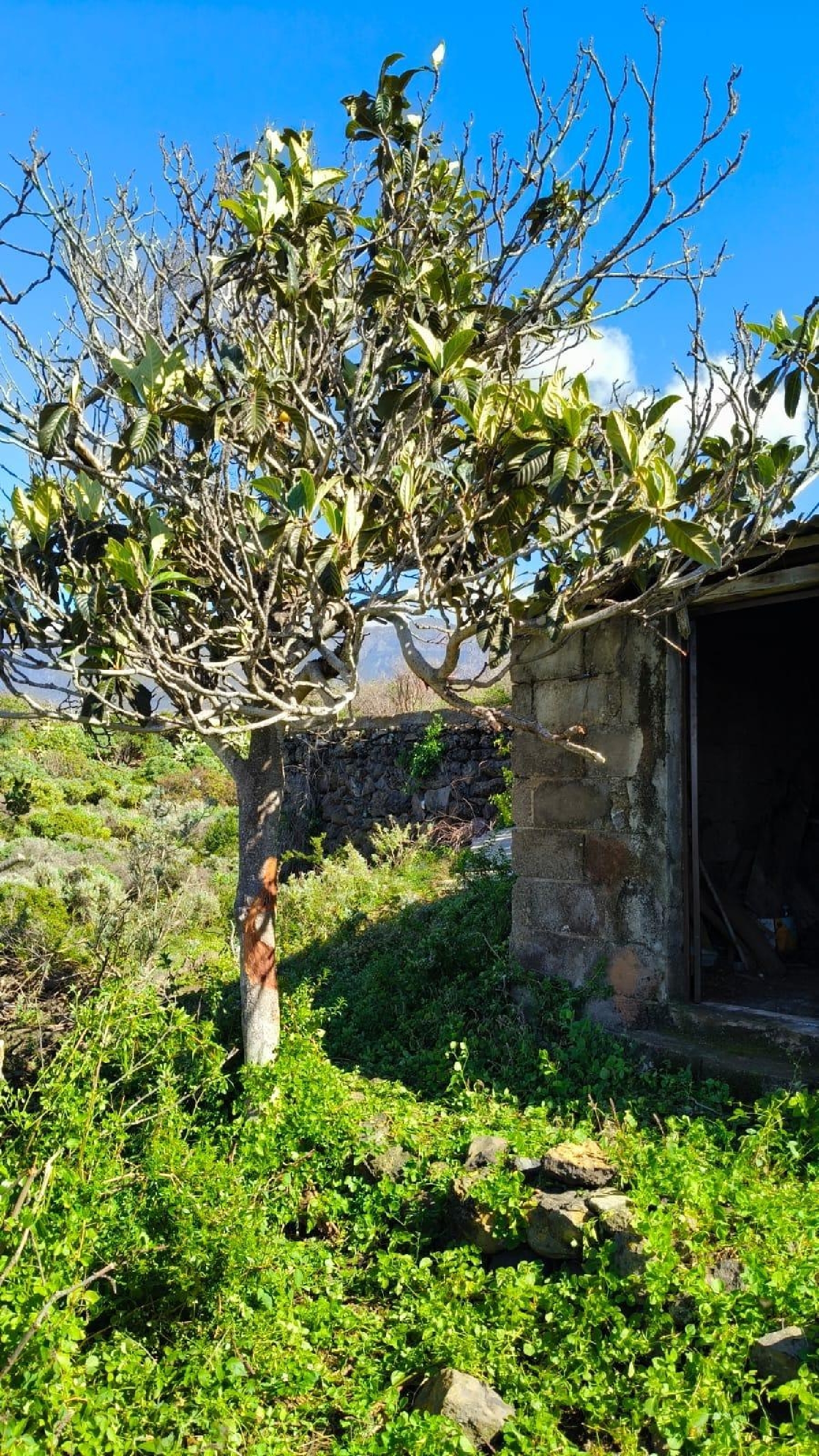 en venta terreno La Grimona Zona Norte 3