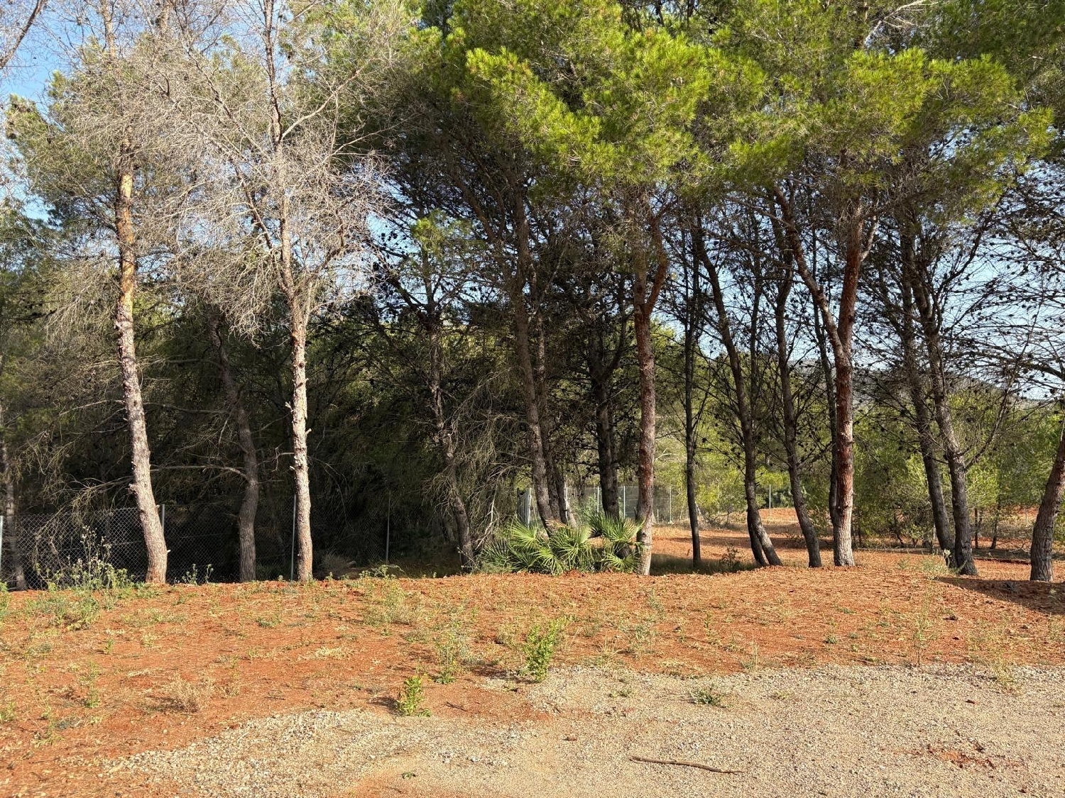  à vendre terrain La Manga Club Resort Campo De Cartagena 6