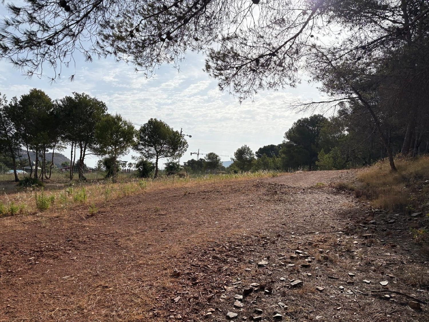  à vendre terrain La Manga Club Resort Campo De Cartagena 4