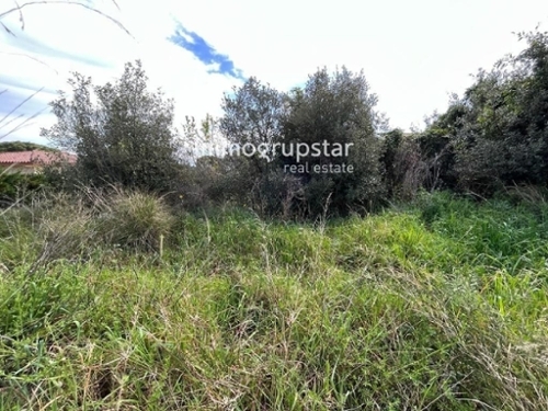 La Pineda Baix Empordà plot foto 6267972