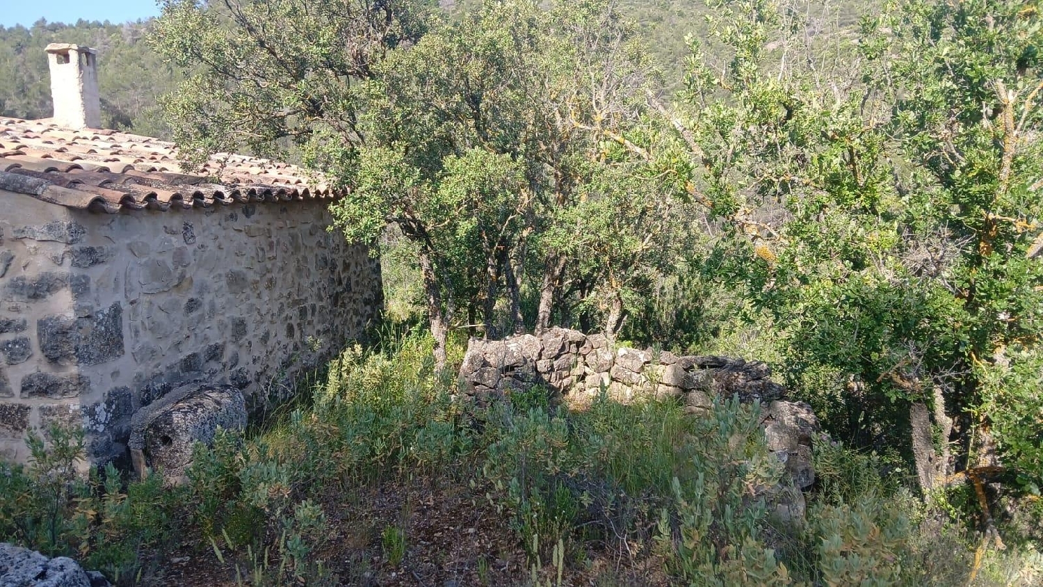 for sale plot La Pobla De Cérvoles Garrigues 2
