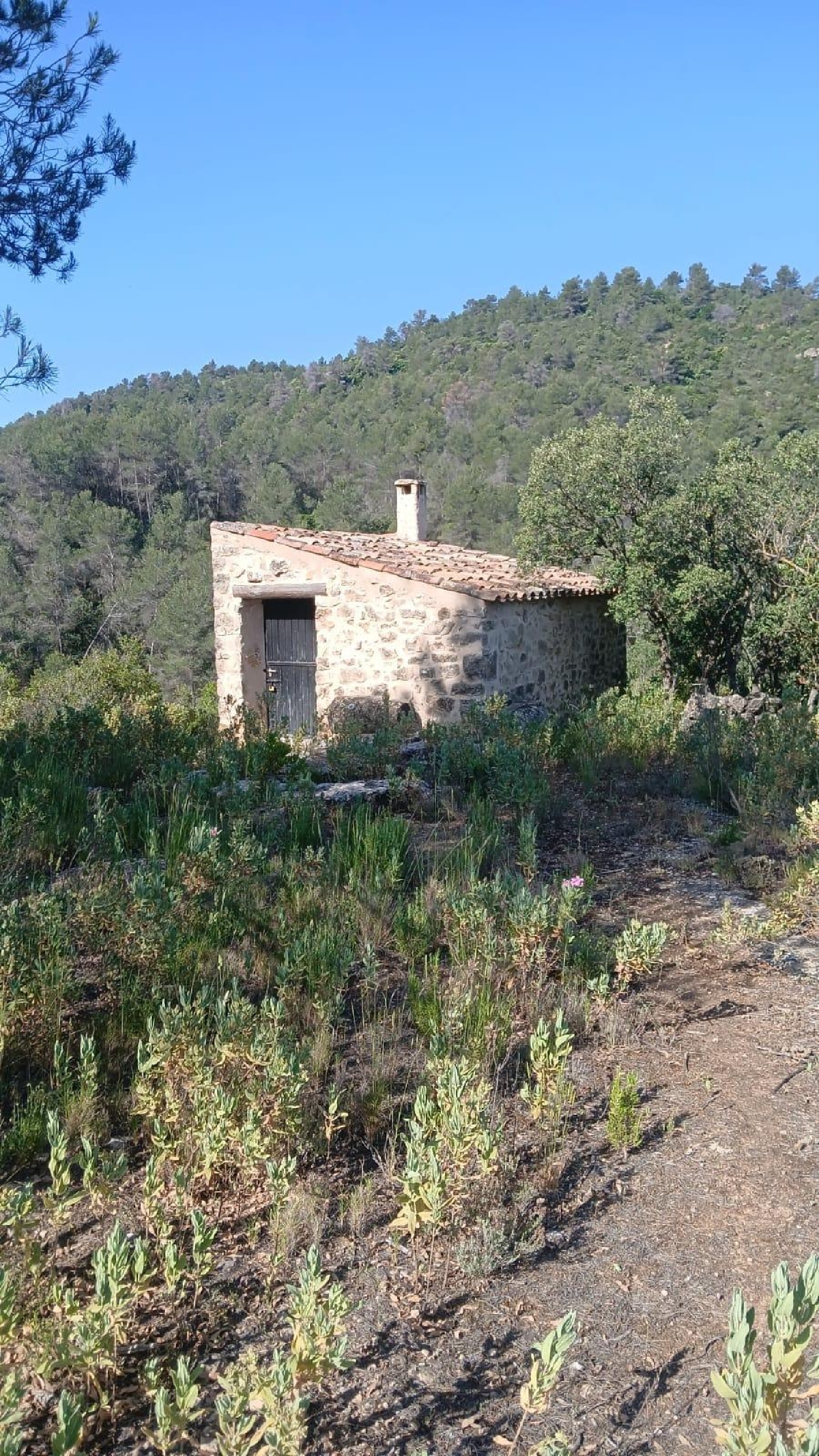 for sale plot La Pobla De Cérvoles Garrigues 3