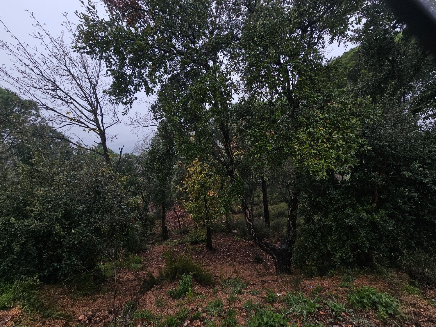  kaufen Grundstück La Riera Selva 8