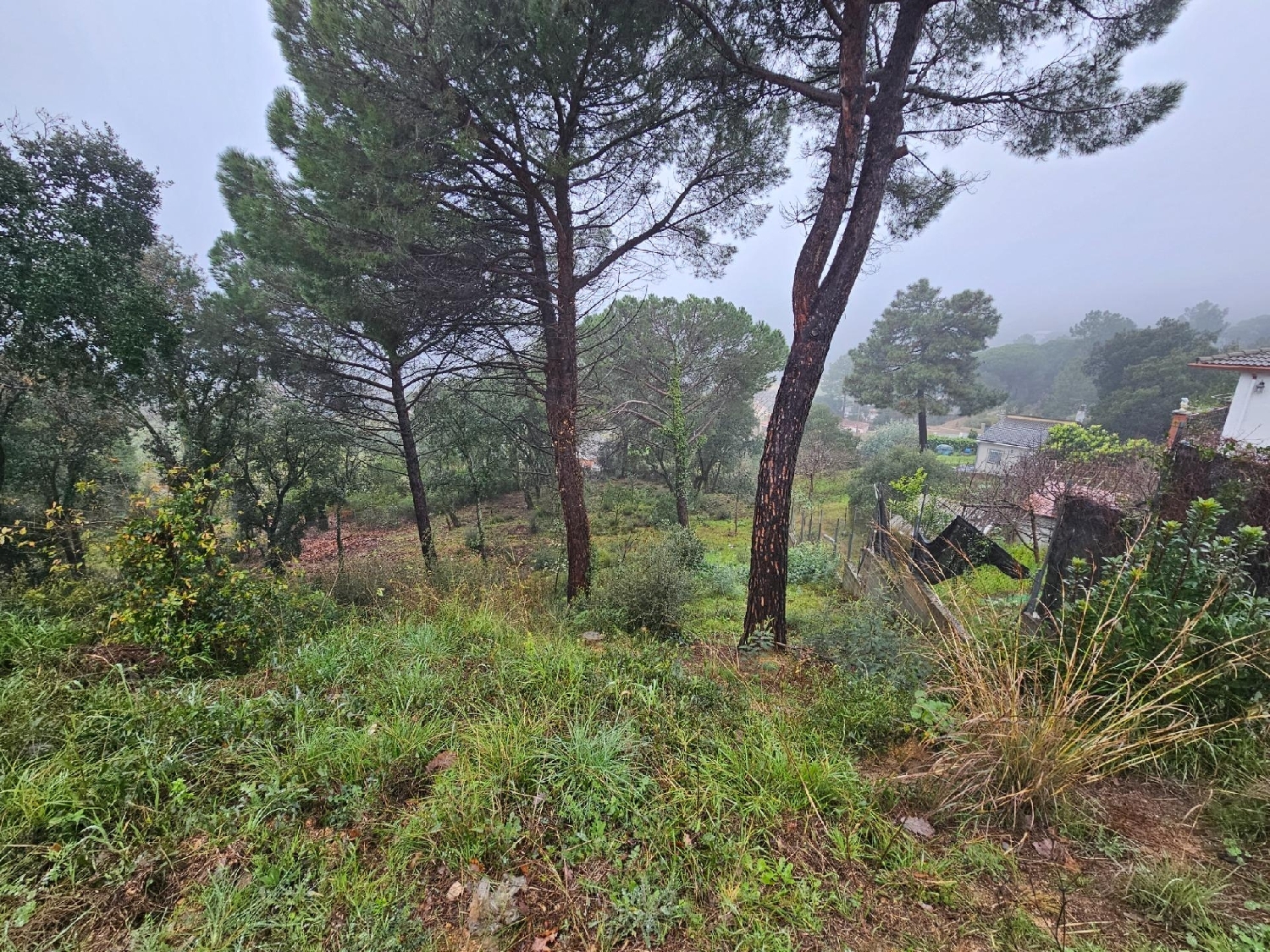  kaufen Grundstück La Riera Selva 5