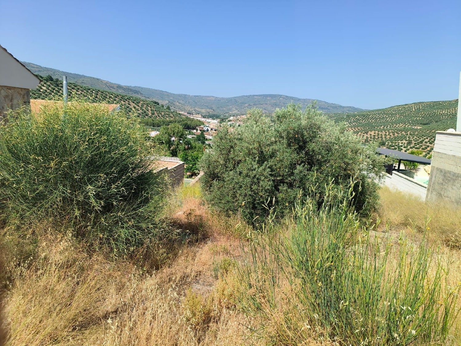  till salu tomt La Ropera Campiña De Jaén 5