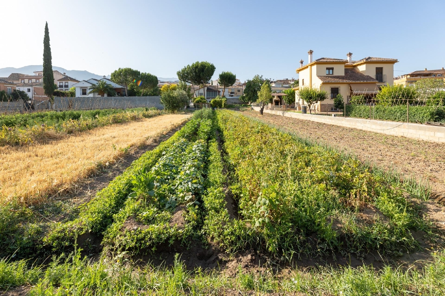  en venta terreno La Zubia Vega De Granada 3