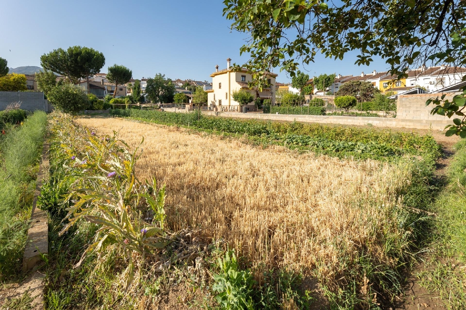  en venta terreno La Zubia Vega De Granada 5