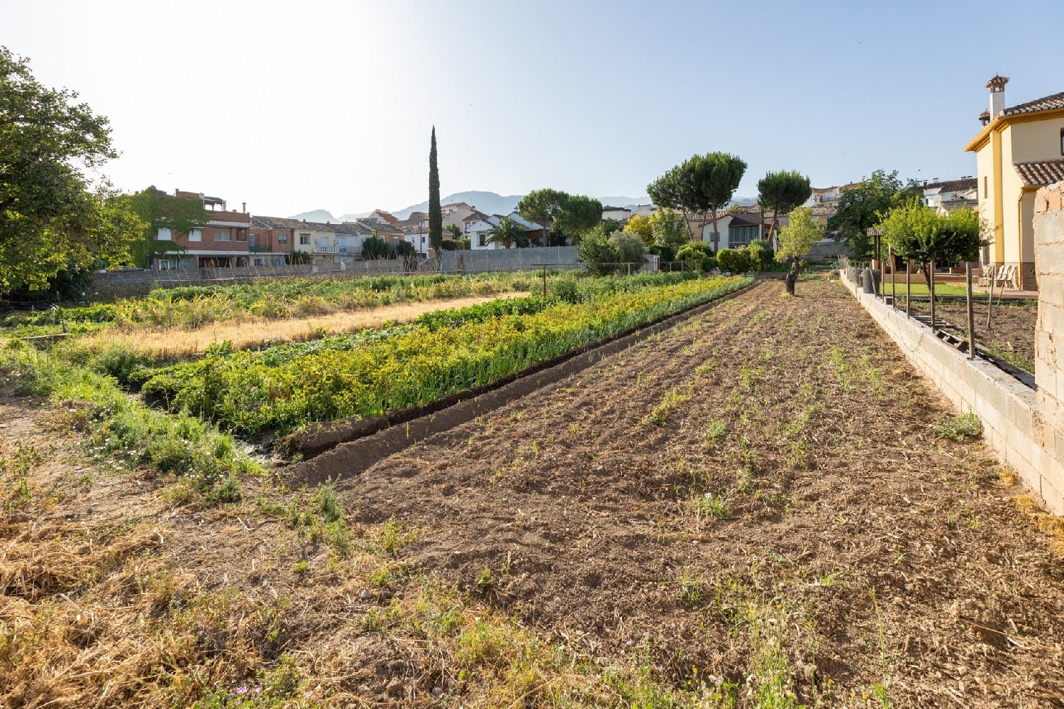  en venta terreno La Zubia Vega De Granada 1
