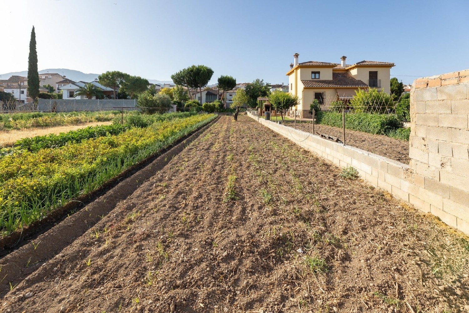  en venta terreno La Zubia Vega De Granada 4