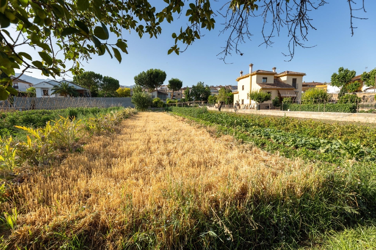  en venta terreno La Zubia Vega De Granada 2