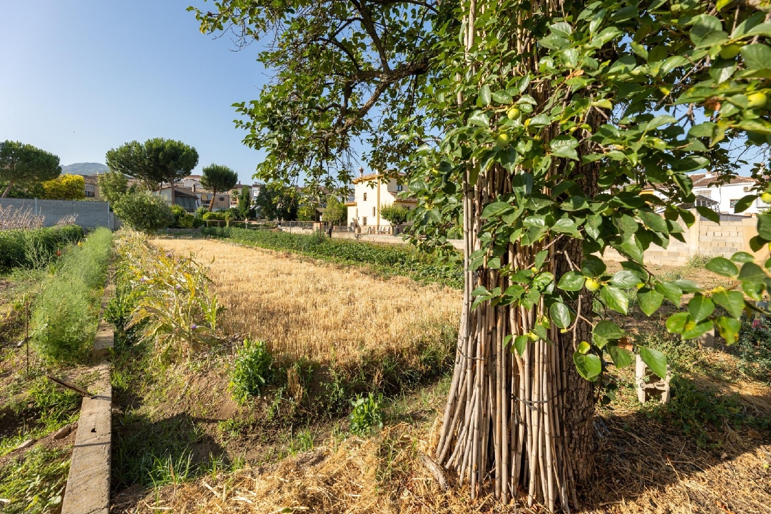  en venta terreno La Zubia Vega De Granada 6