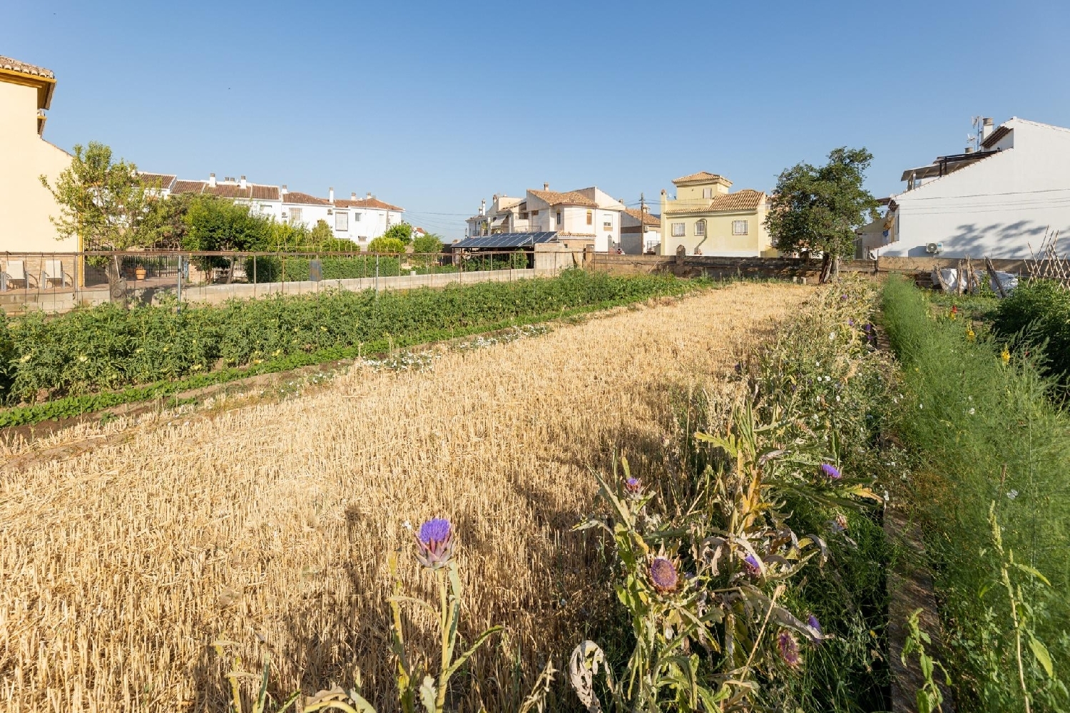 kaufen Grundstück La Zubia Vega De Granada 8