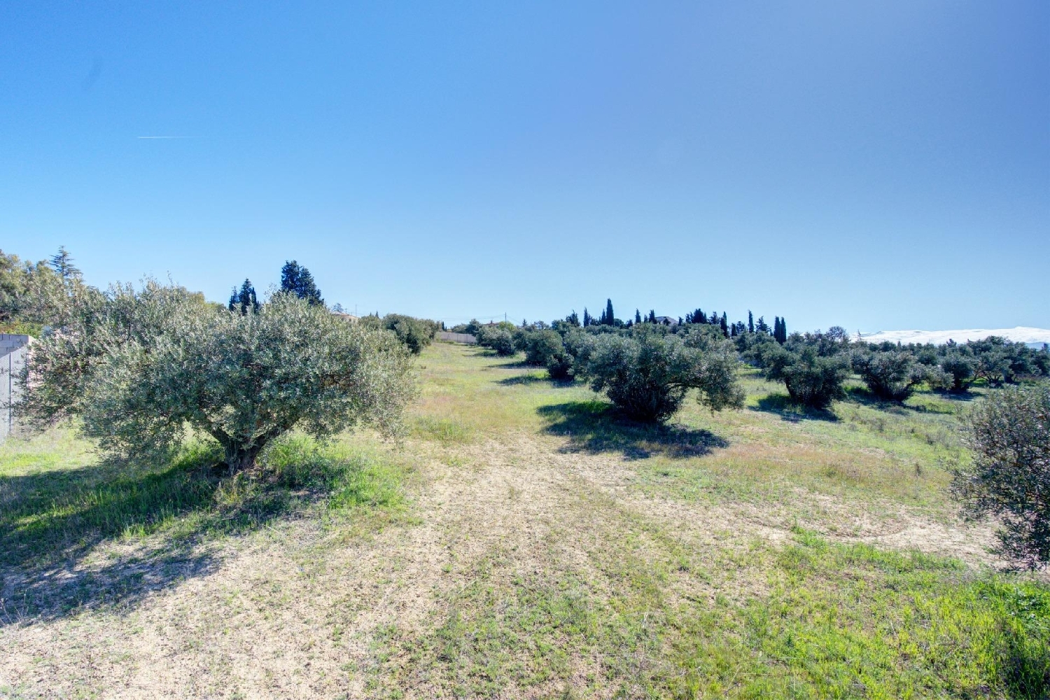 for sale plot Lentejí Costa Tropical 2