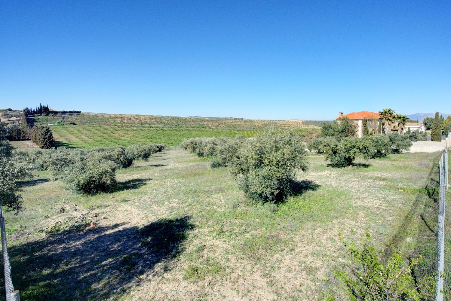 for sale plot Lentejí Costa Tropical 3