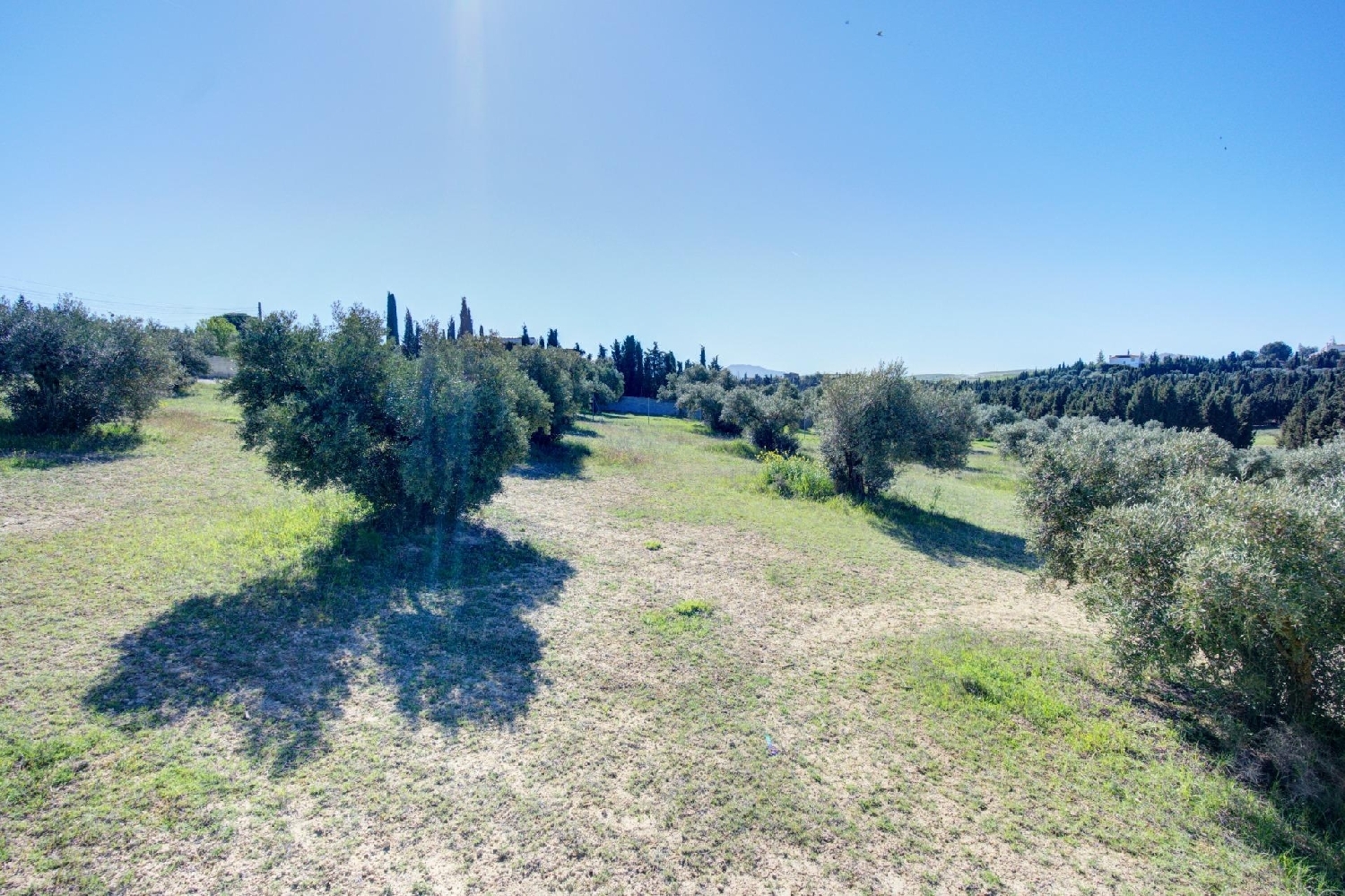  for sale plot Lentejí Costa Tropical 7