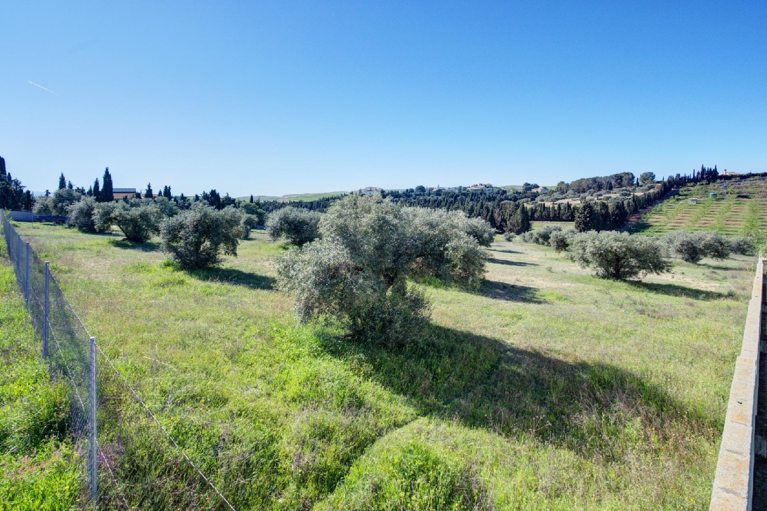  for sale plot Lentejí Costa Tropical 5