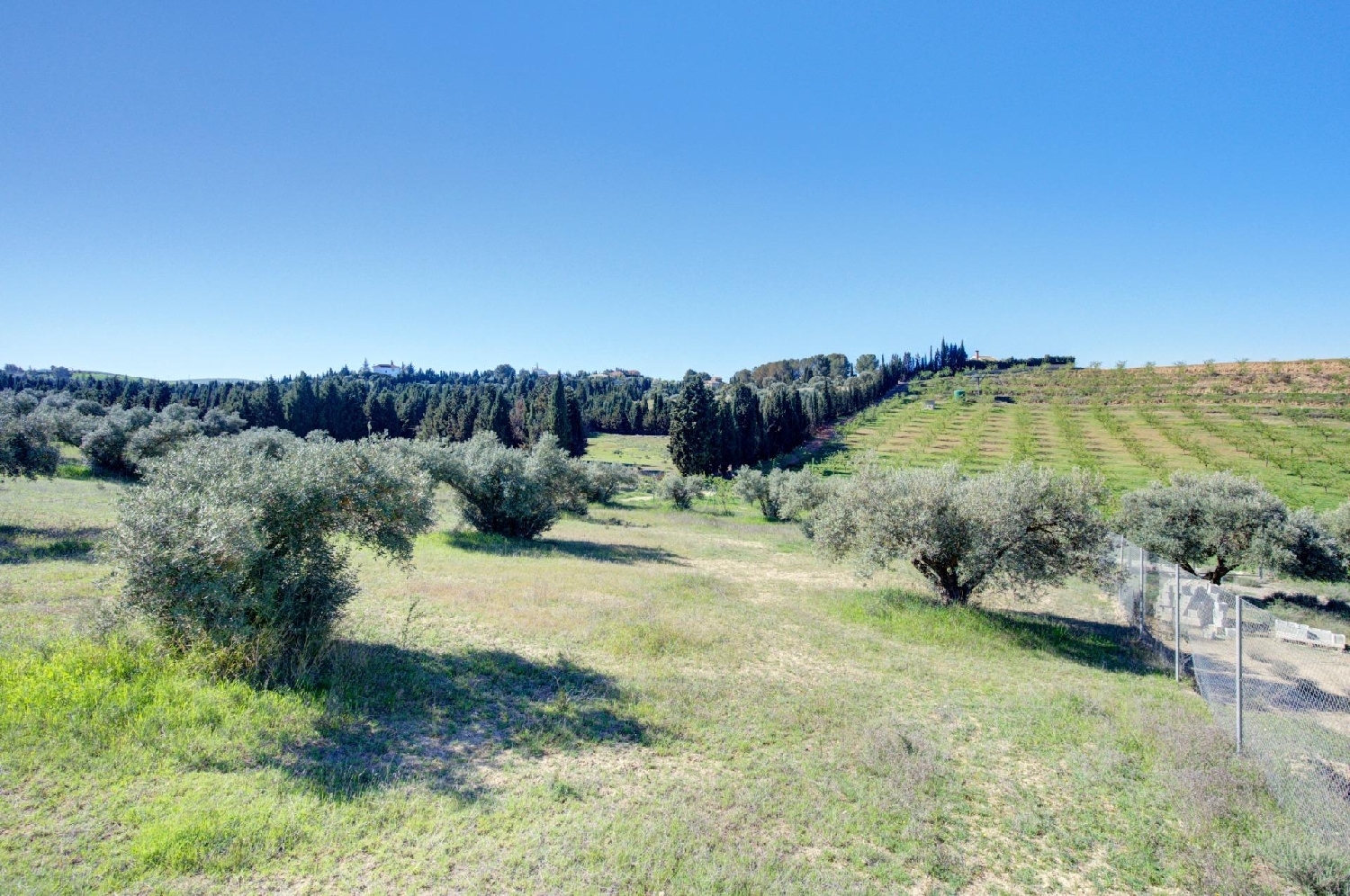  for sale plot Lentejí Costa Tropical 8