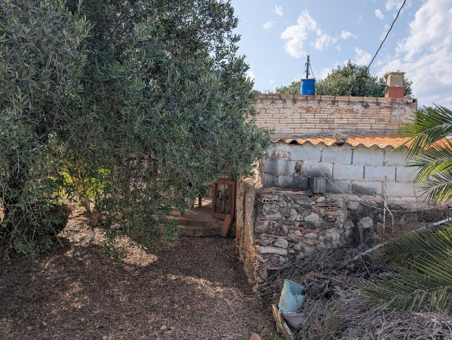  en venta terreno Les Cases D'alcanar Montsià 8