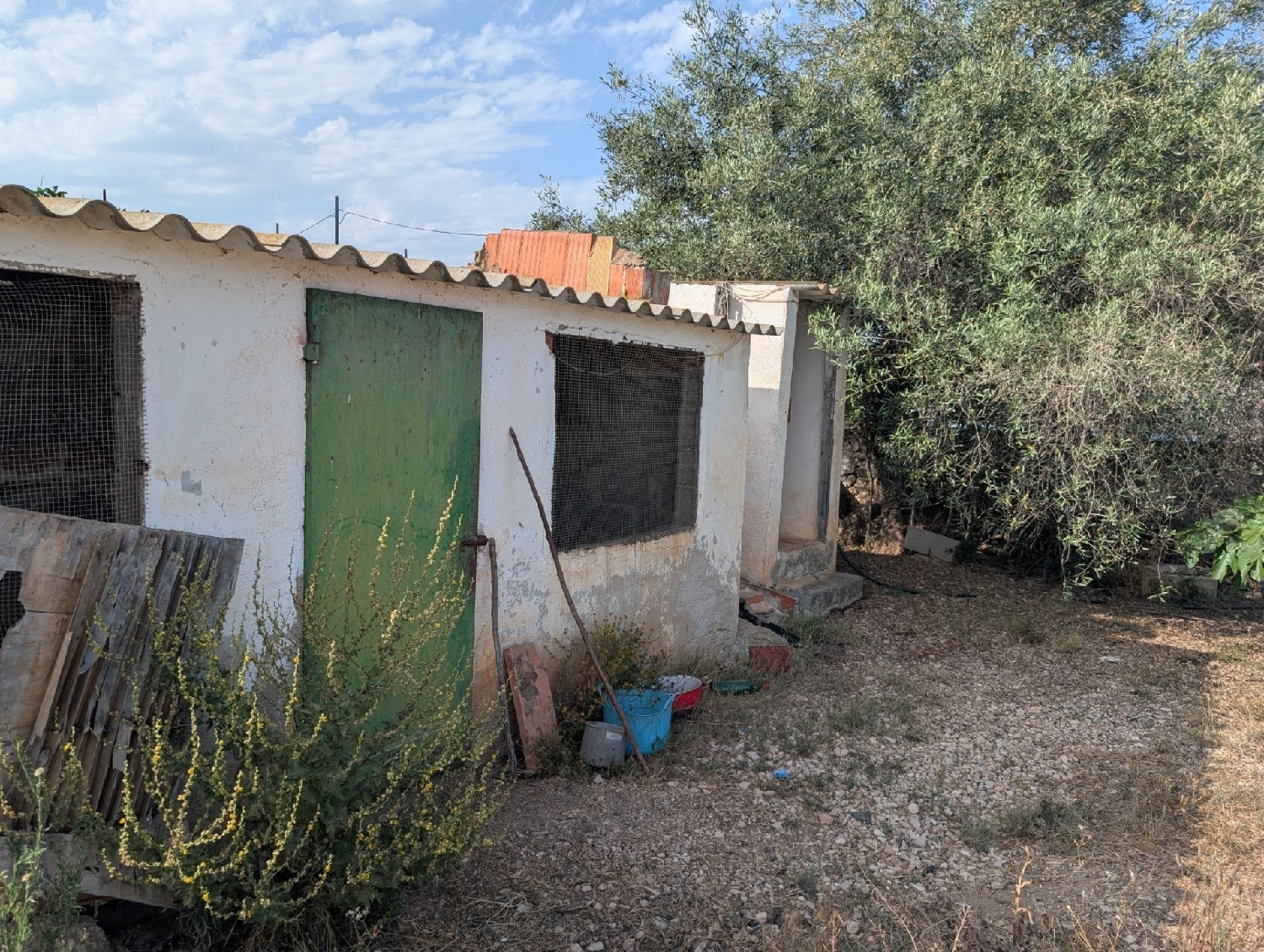  en venta terreno Les Cases D'alcanar Montsià 6
