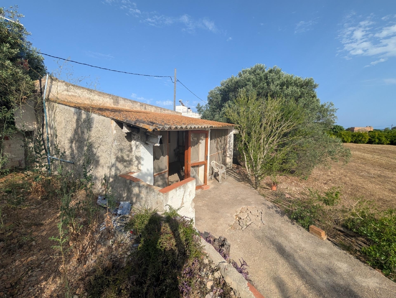  en venta terreno Les Cases D'alcanar Montsià 7