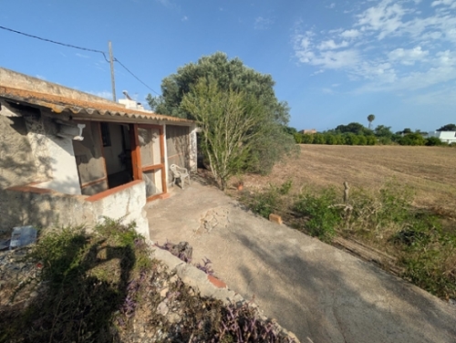 Les Cases D''alcanar Montsià plot foto 6267615