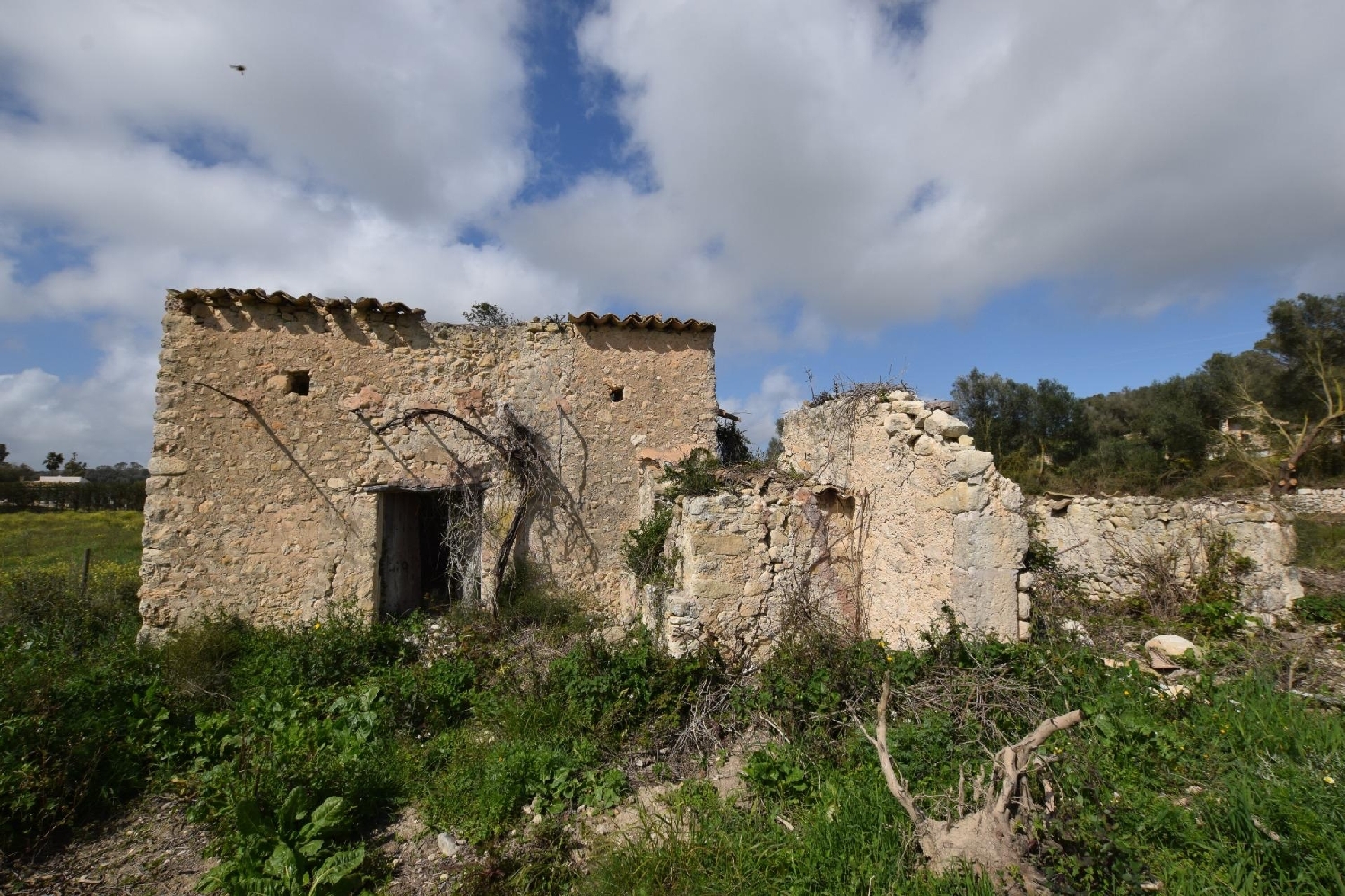 kaufen Grundstück Lloret De Vistalegre Pla (Es) 3