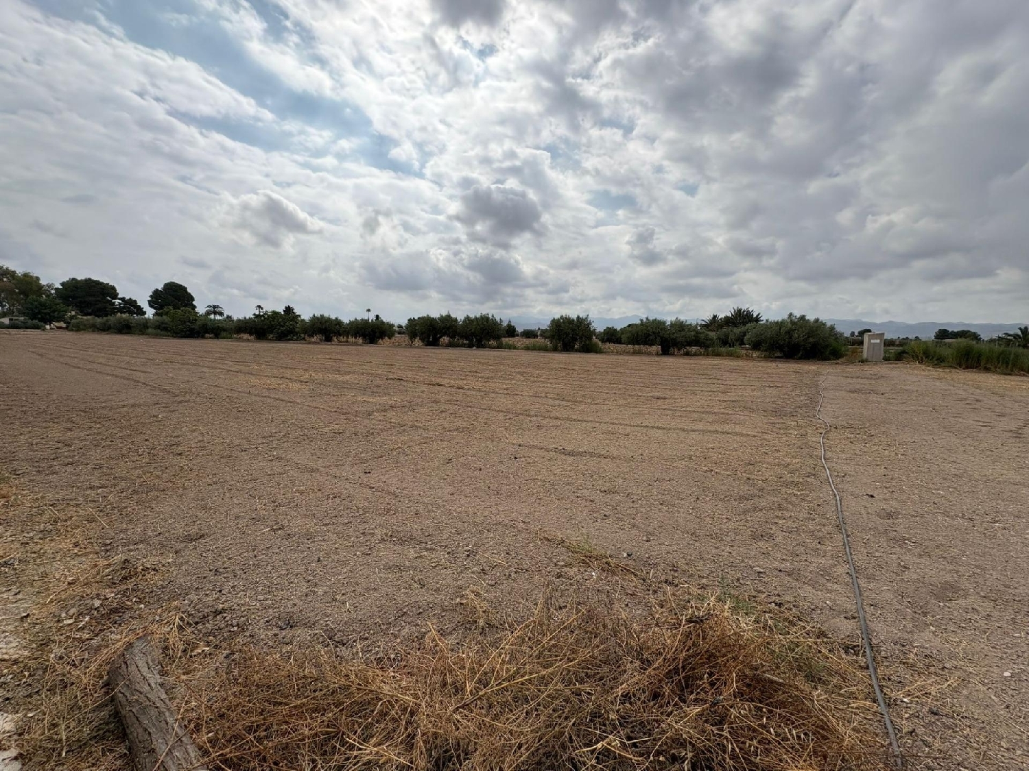  for sale plot Lorca Alto Guadalentín 2