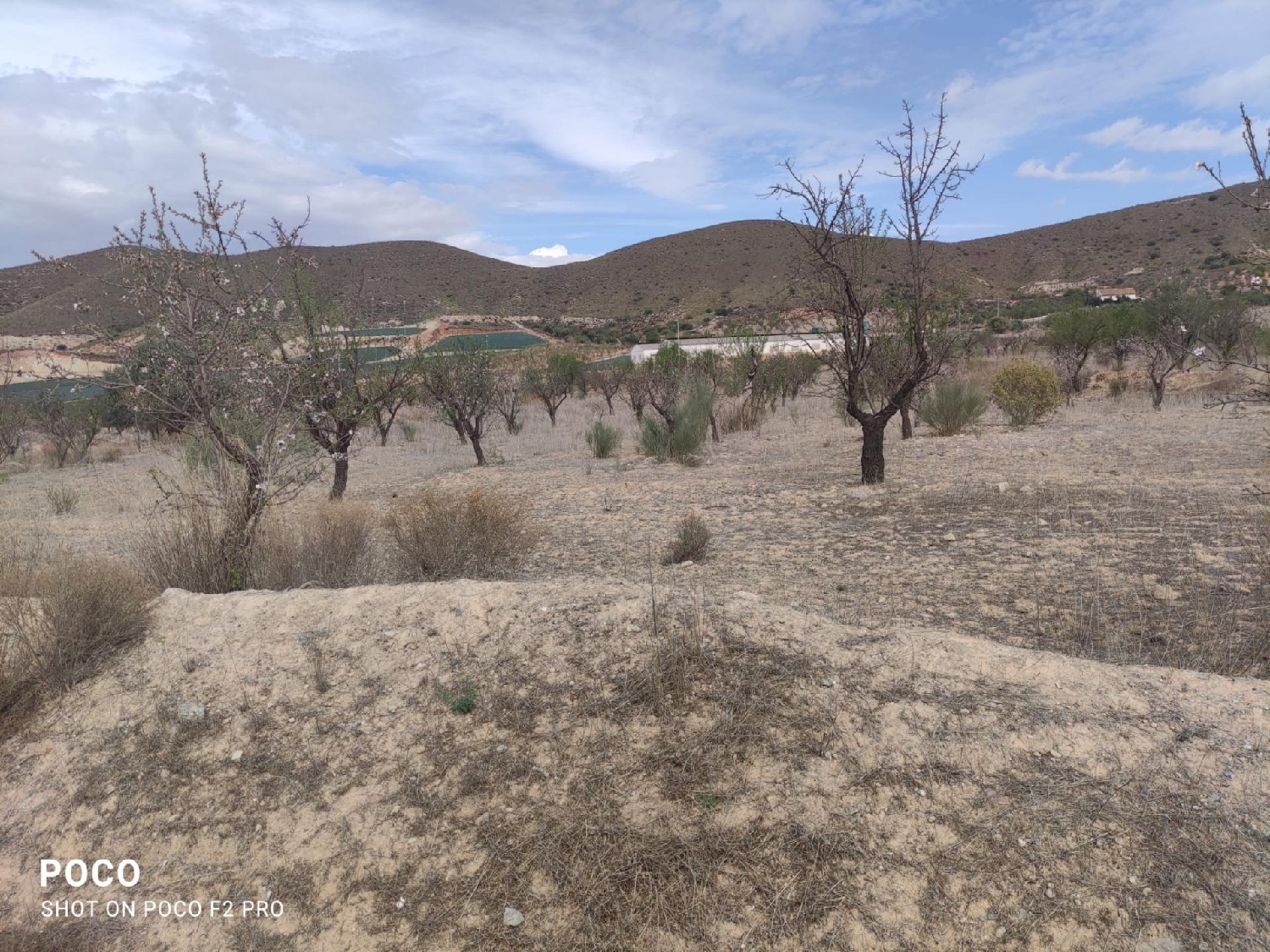  te koop perceel Lorca Alto Guadalentín 5