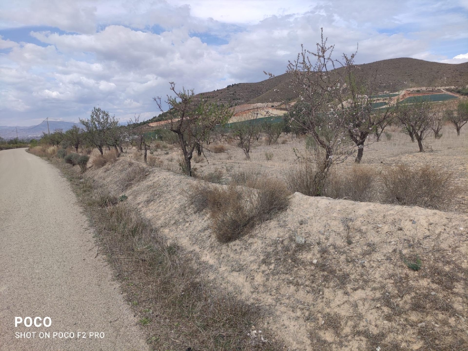  te koop perceel Lorca Alto Guadalentín 4