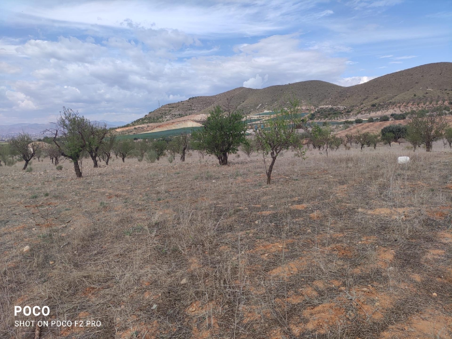 te koop perceel Lorca Alto Guadalentín 3