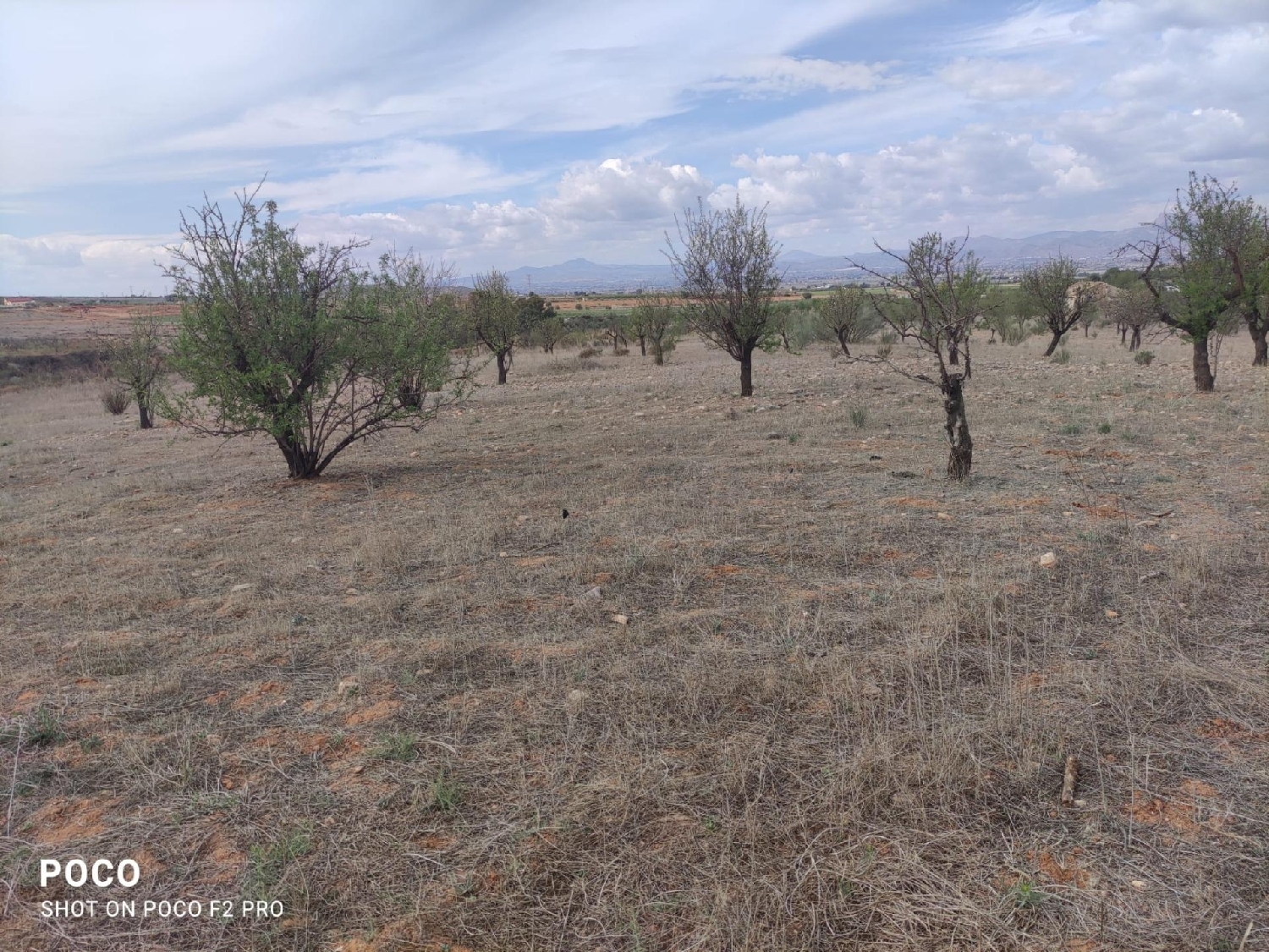 te koop perceel Lorca Alto Guadalentín 2