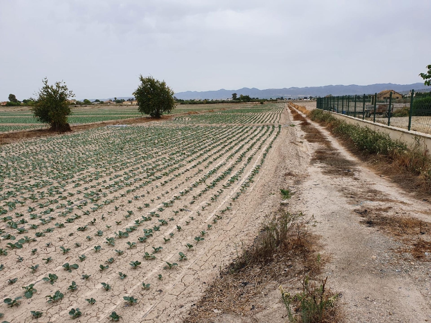  en venta terreno Lorca Alto Guadalentín 1
