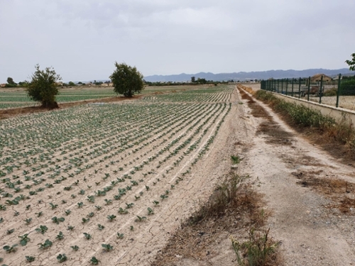 Lorca Alto Guadalentín plot foto 6284158