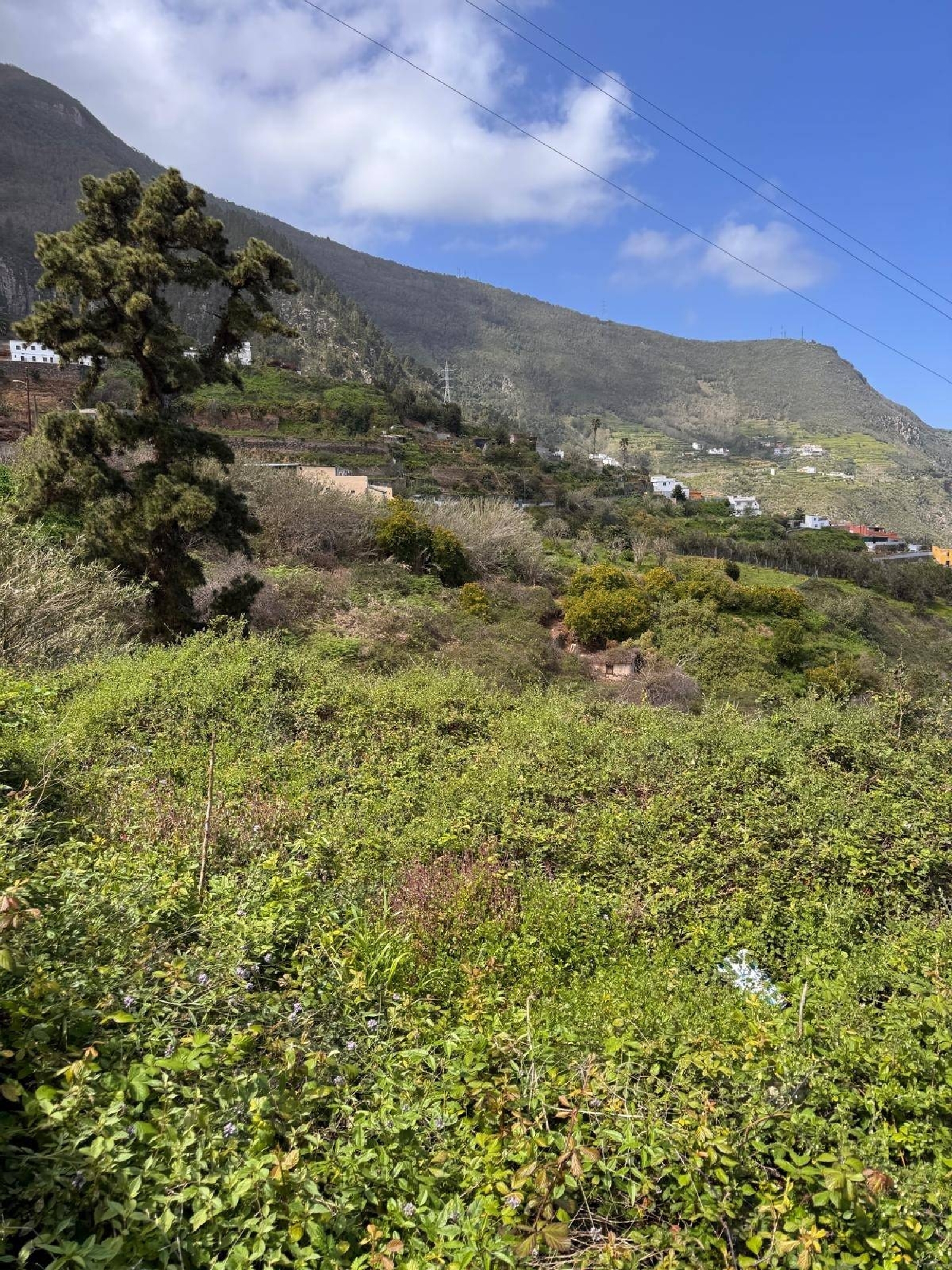 for sale plot Los Realejos Zona Norte 3
