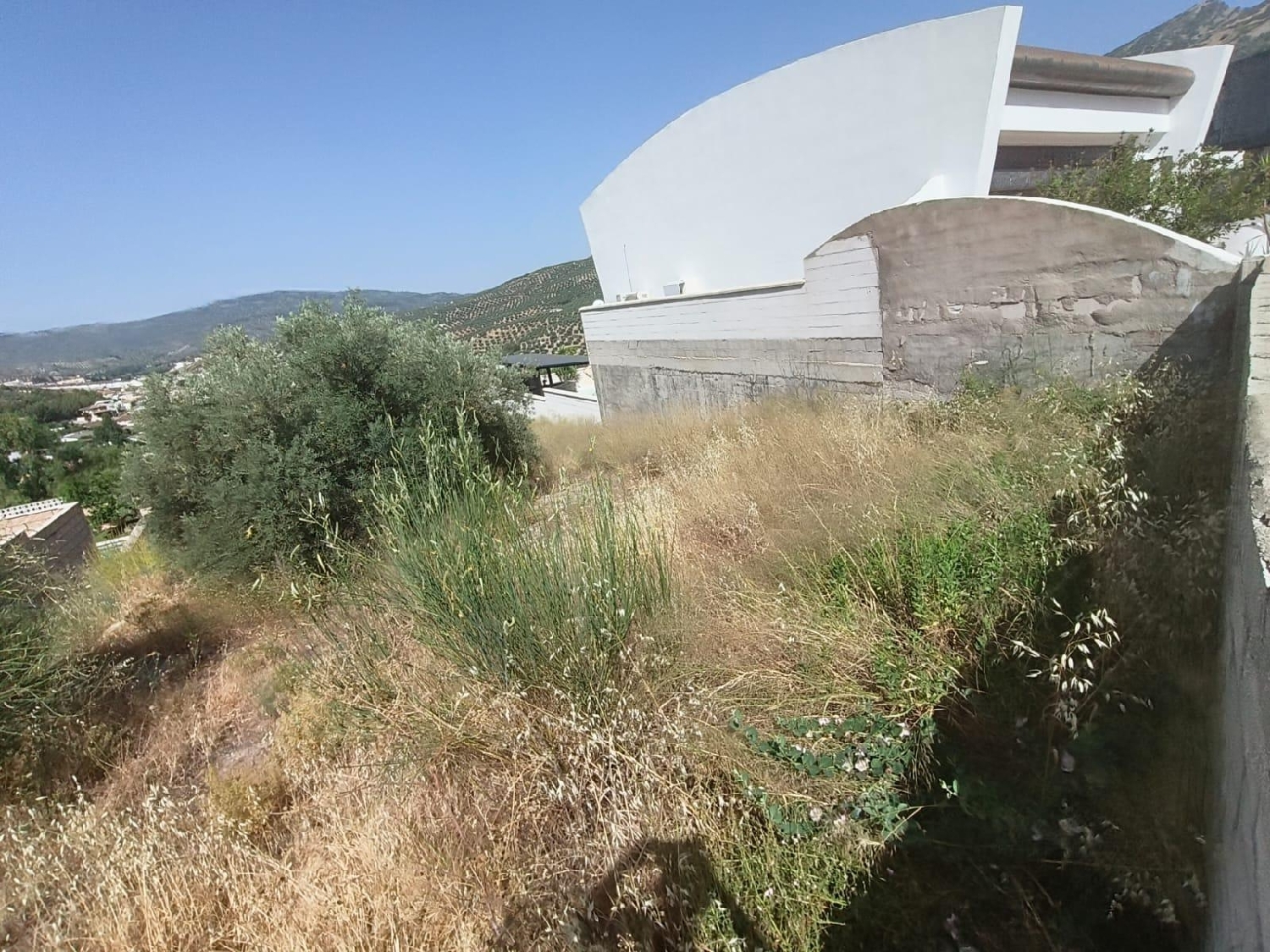  te koop perceel Los Villares Campiña De Jaén 7