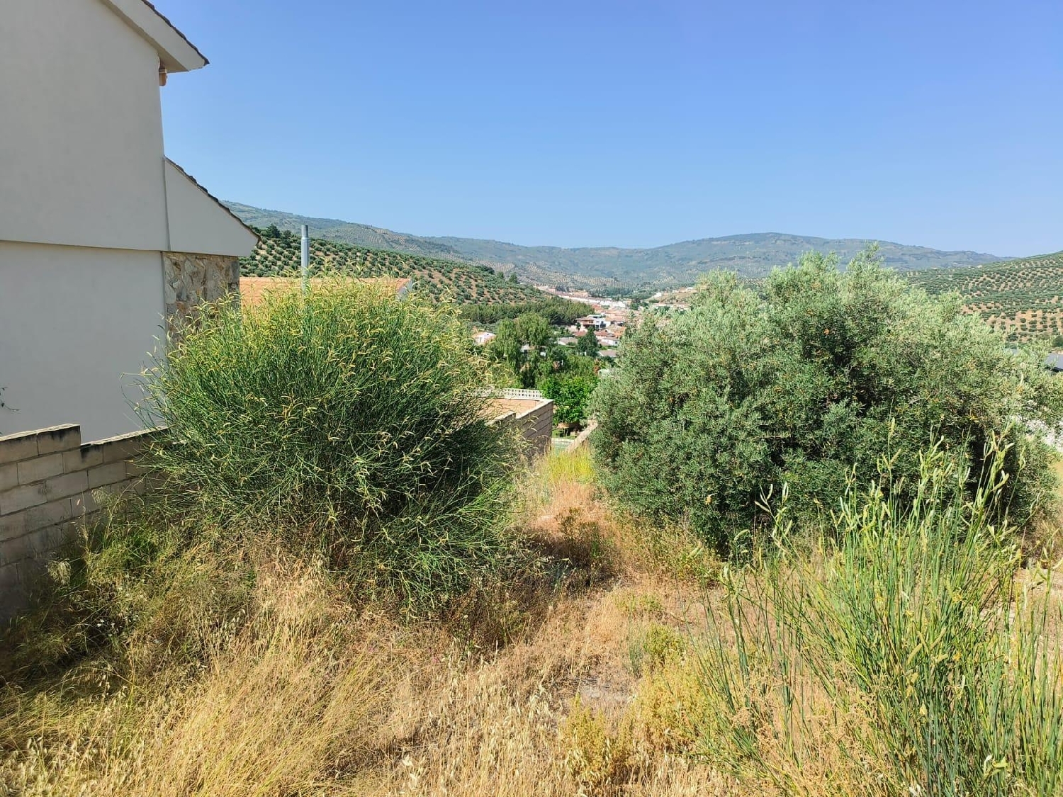  te koop perceel Los Villares Campiña De Jaén 8