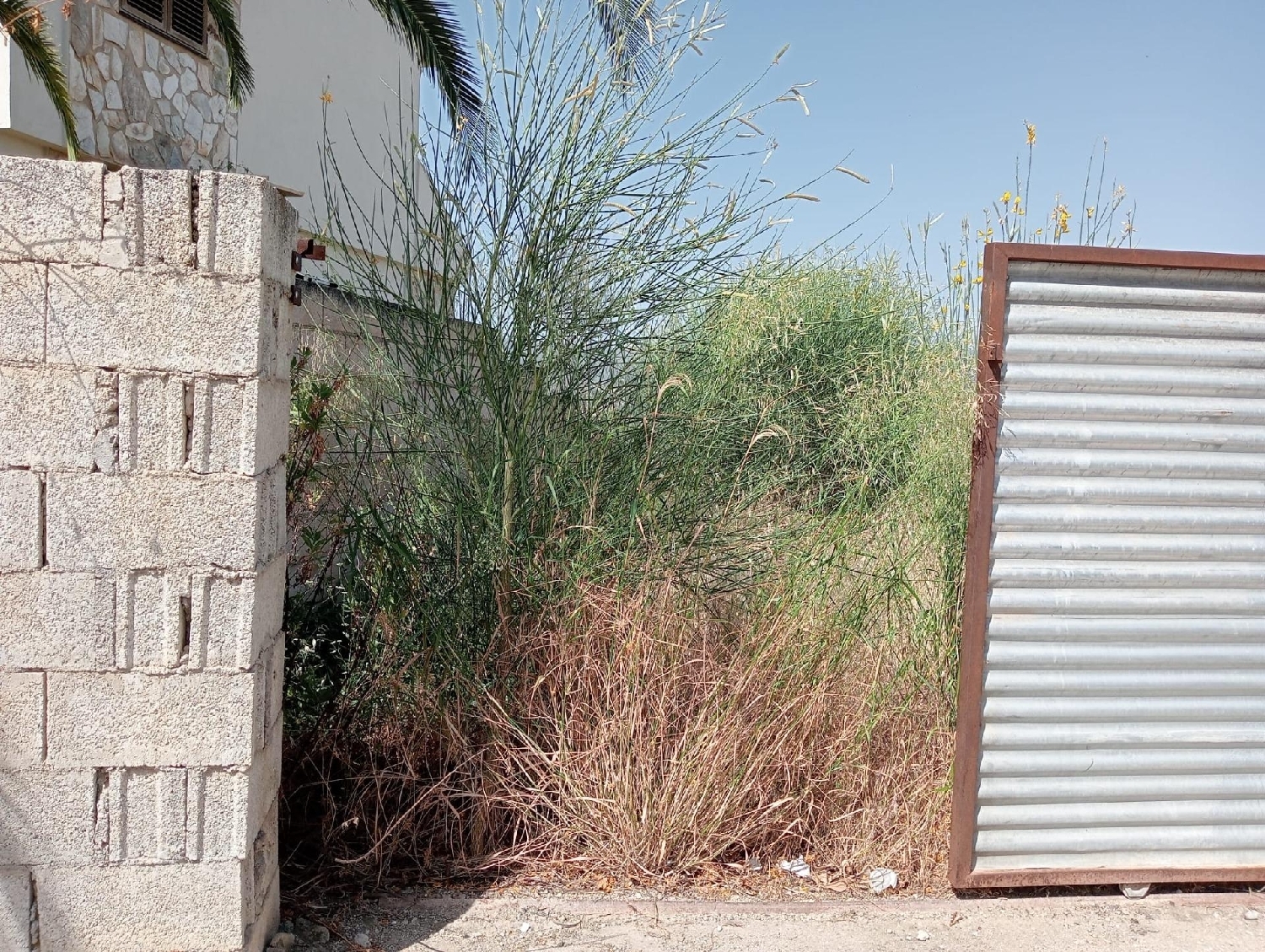  te koop perceel Los Villares Campiña De Jaén 2