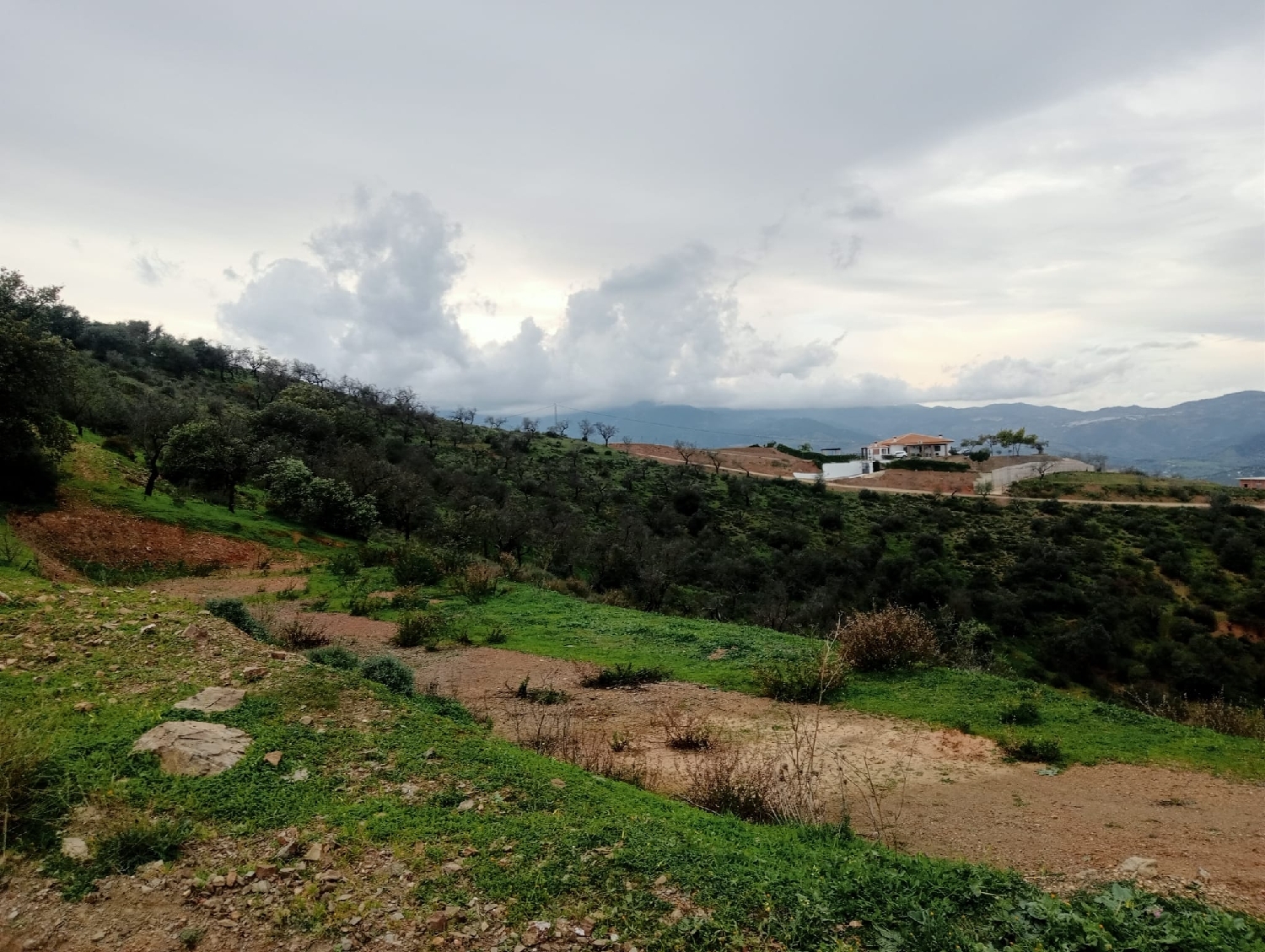for sale plot Málaga Del Fresno Campiña 3