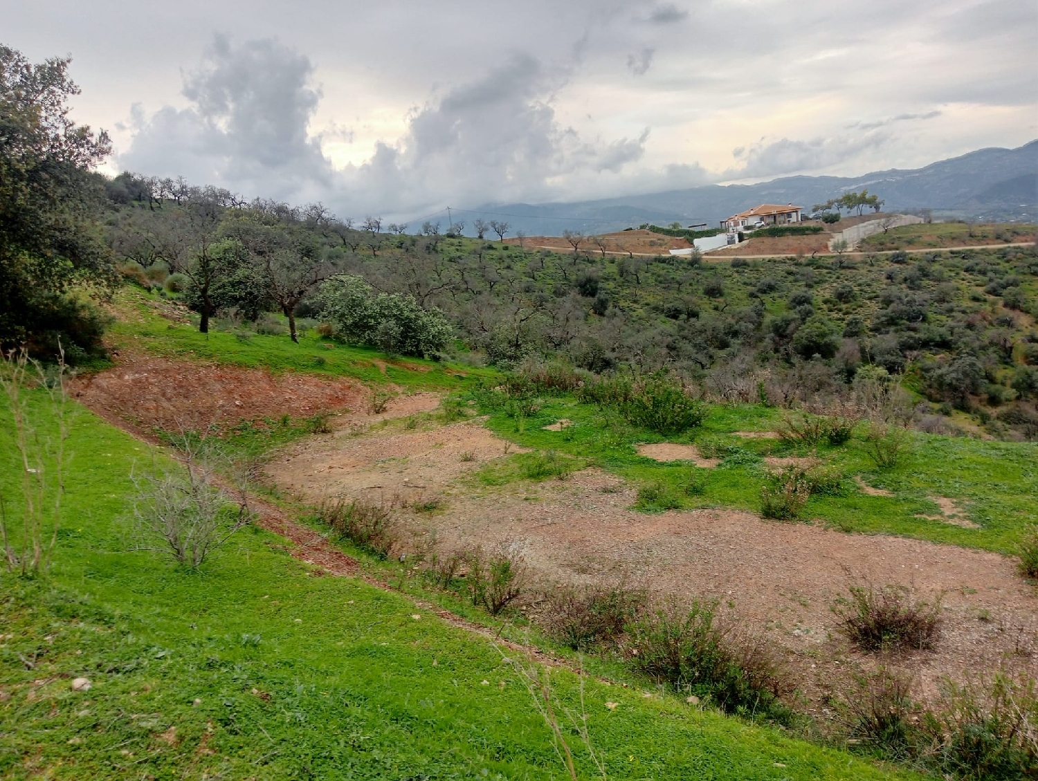 for sale plot Málaga Del Fresno Campiña 2