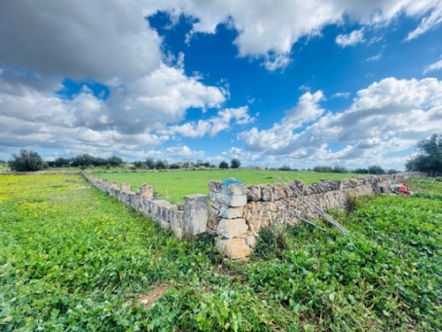 Manacor Llevant perceel foto 6274289