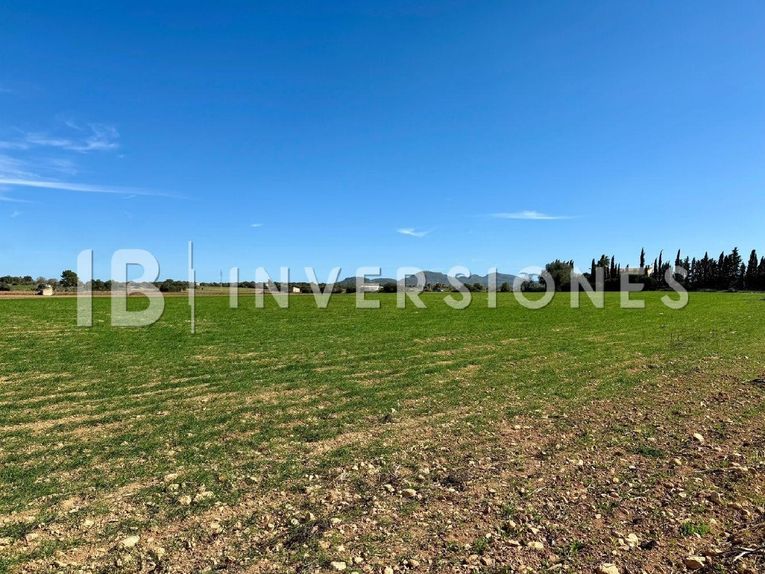  for sale plot Manacor Llevant 4