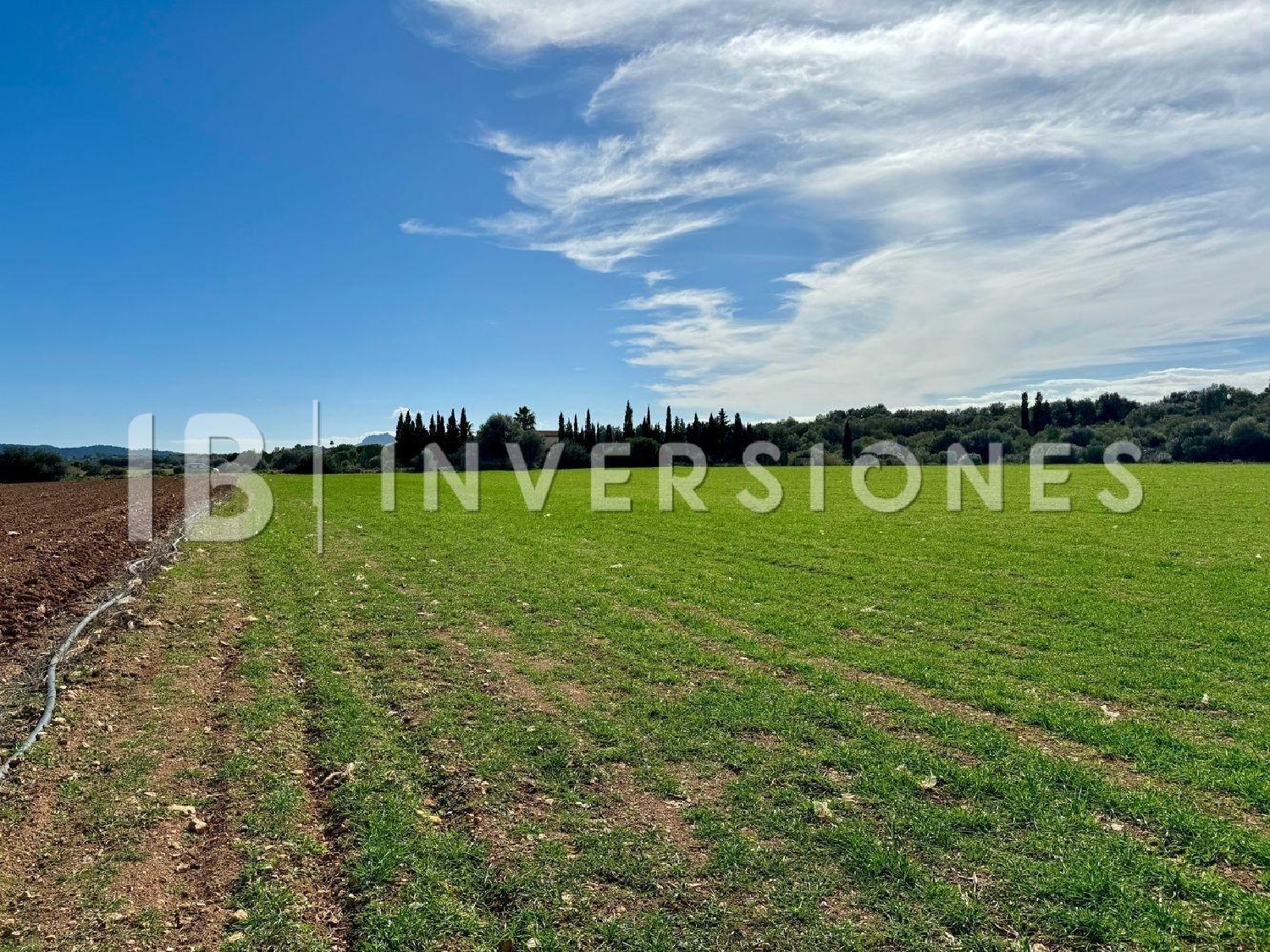  for sale plot Manacor Llevant 7