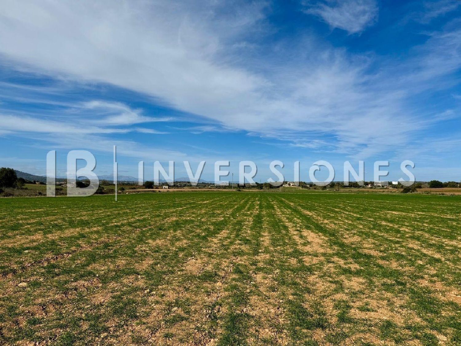  for sale plot Manacor Llevant 5