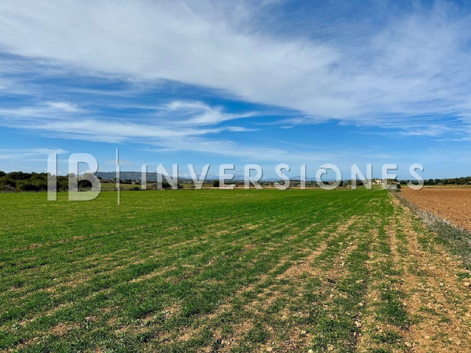  for sale plot Manacor Llevant 8