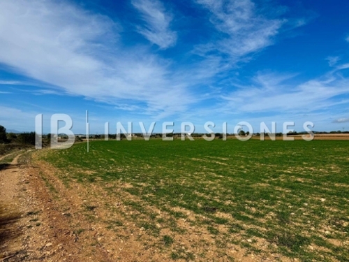 Manacor Llevant perceel foto 6274947